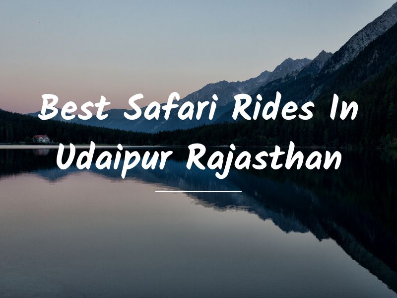 Best Safari Rides In Rajasthan